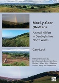 Cover: Moel-y-Gaer (Bodfari): A Small Hillfort in Denbighshire, North Wales - Archaeopress Archaeology