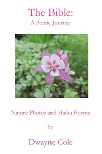 Enlarge image Cover: The Bible - Parson's Porch