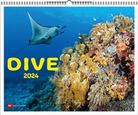 Abbildung von: Dive 2024 - Delius Klasing