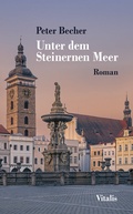 Cover: Unter dem Steinernen Meer - Vitalis