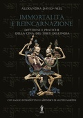 Cover: Immortalit&agrave; e reincarnazione - Edizioni Aurora Boreale