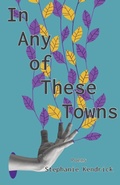 Cover: In Any of These Towns - Sheila-Na-Gig Editions