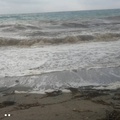 Cover: coastlines - edition taberna kritika