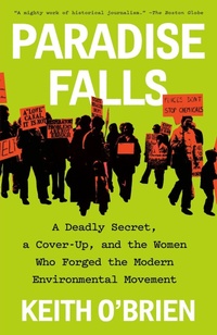 Enlarge image Cover: Paradise Falls - Vintage Books