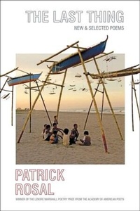 Enlarge image Cover: The Last Thing - Persea Books Inc