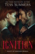 Cover: Ignition - Seasons Press LLC