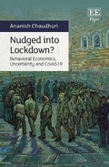 Cover: Nudged into Lockdown? - Edward Elgar Publishing
