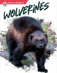 Enlarge image Cover: Wolverines - Apex
