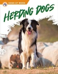 Cover: Herding Dogs - Apex