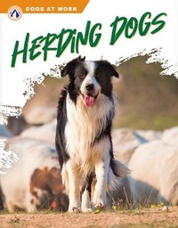 Enlarge image Cover: Herding Dogs - Apex