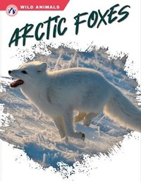 Enlarge image Cover: Arctic Foxes - Apex