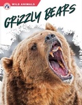 Cover: Grizzly Bears - Apex