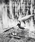 Cover: Rudolf Zimmermann - Stekovics, J
