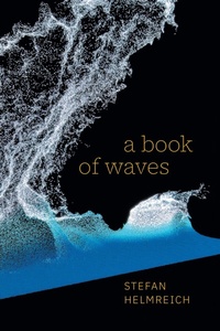 Enlarge image Cover: A Book of Waves - Duke University Press
