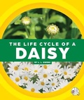 Cover: The Life Cycle of a Daisy - Child's World, Inc. Wonder Books