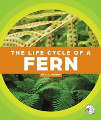Enlarge image Cover: The Life Cycle of a Fern - Child's World, Inc. Wonder Books