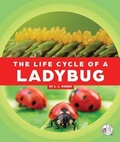 Cover: The Life Cycle of a Ladybug - Child's World, Inc. Wonder Books