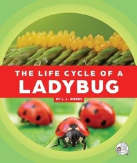 Enlarge image Cover: The Life Cycle of a Ladybug - Child's World, Inc. Wonder Books