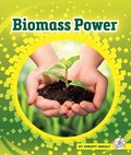 Cover: Biomass Power - Child's World, Inc. Stride