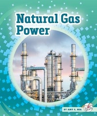 Enlarge image Cover: Natural Gas Power - Child's World, Inc. Stride