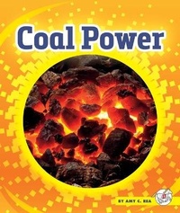 Enlarge image Cover: Coal Power - Child's World, Inc. Stride