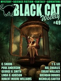 Cover: Black Cat Weekly #49 - Wildside Press