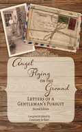 Cover: Angel Flying on the Ground - Courtney Barr