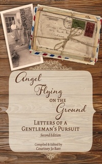 Enlarge image Cover: Angel Flying on the Ground - Courtney Barr