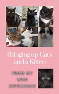 Cover: Bringing up Cats and a Kitten - Emily Grabham