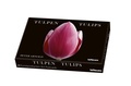 Cover: Tulpen, Kunstkartenbox - teNeues Verlag ein Imprint des Gestalten Verlags
