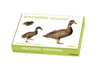 Abbildung von: Wachsen, Kunstkartenbox - teNeues Verlag ein Imprint des Gestalten Verlags
