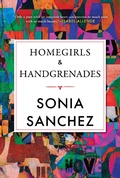 Cover: Homegirls & Handgrenades - Beacon Press