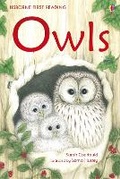 Cover: Owls - Usborne Publishing Ltd