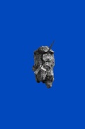 Cover: Catherine Biocca - Floating Opera Press