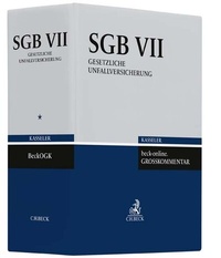 Abbildung von: beck-online.GROSSKOMMENTAR zum SGB (Kasseler Kommentar) Ordner SGB VII 86 mm - C.H.BECK