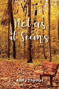 Enlarge image Cover: Not as it Seems - Trilogy Christian Publishing