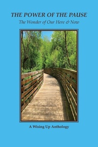 Enlarge image Cover: The Power of the Pause - Wising Up Press