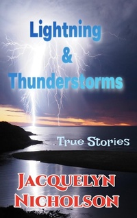 Abbildung von: Lightning and Thunderstorms - Blurb Inc