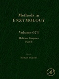 Bild: Helicase Enzymes Part B - Academic Press