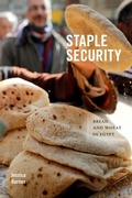 Cover: Staple Security - De Gruyter