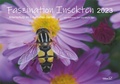 Cover: Faszination Insekten - Zerr, Sibylle