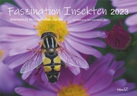 Enlarge image Cover: Faszination Insekten - Zerr, Sibylle