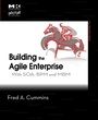 Cover: Building the Agile Enterprise - Morgan Kaufmann