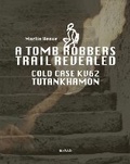 Cover: A tomb robbers' trail revealed - BLKVLD Publishers