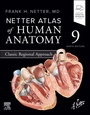 Bild: Netter Atlas of Human Anatomy: Classic Regional Approach - Churchill Livingstone