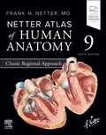 Bild: Netter Atlas of Human Anatomy: Classic Regional Approach - Churchill Livingstone