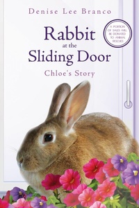 Abbildung von: Rabbit at the Sliding Door - BOOKBABY