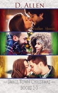 Cover: Small Town Christmas Books 1-3 Bundle - Dn Publishing