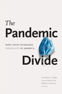 Cover: The Pandemic Divide - De Gruyter