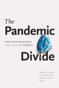 Cover: The Pandemic Divide - De Gruyter